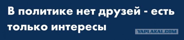 Эрдоган заявил, что Украина заслуживает быть членом НАТО