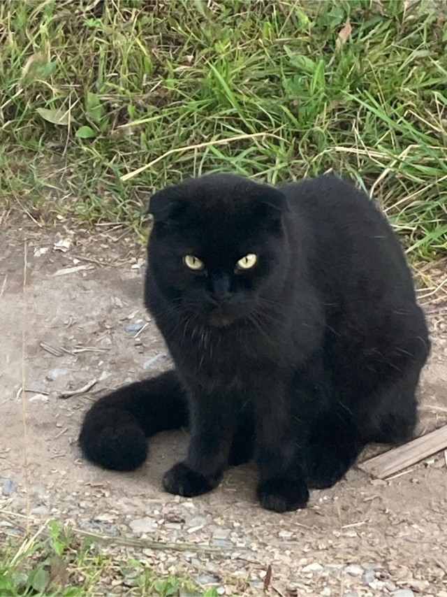 Красотень тут приперлась