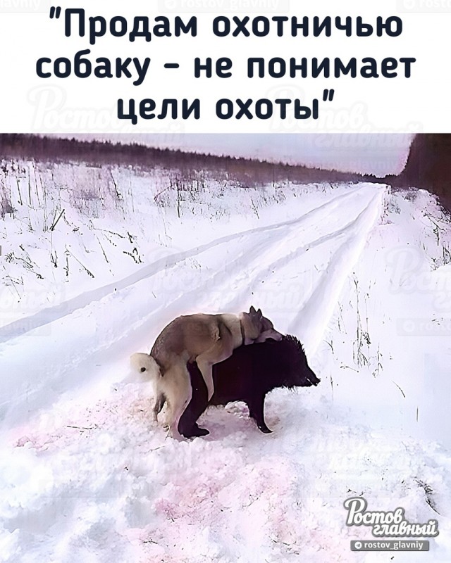 Вся сучность баб