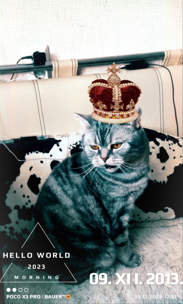Юбилей кота 09.ХII.2013