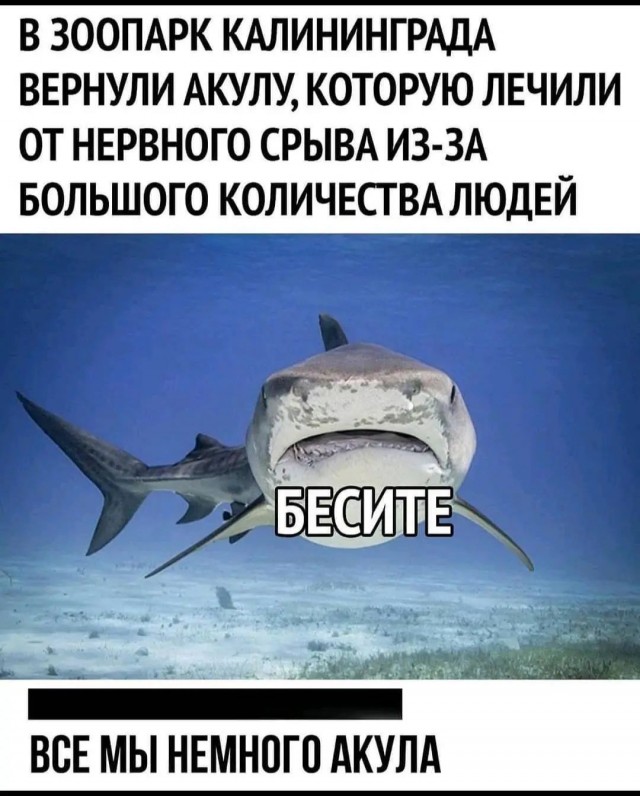 Юмор в картинках и без