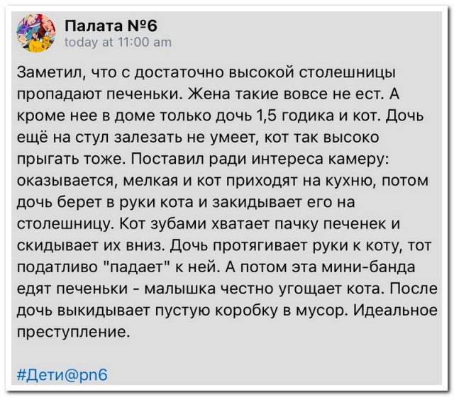 Забавные комментарии из социальных сетей (15.04.24)