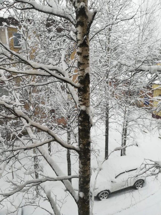 Май, Снег, Москва