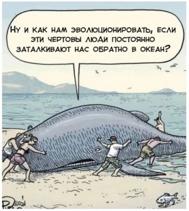 Картинки разные с надписями и без