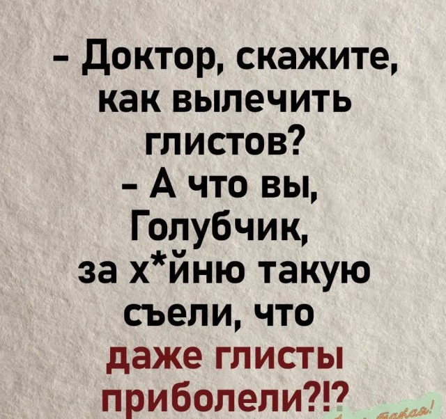 Весёлый полтишок 13.08.24