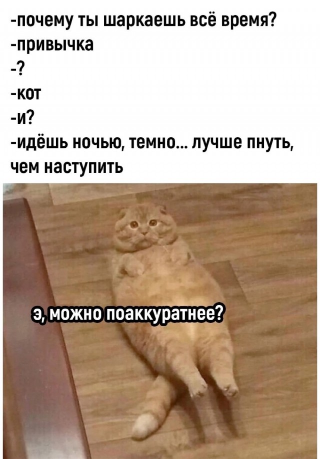 Вроде бы ничего не предвещало беды
