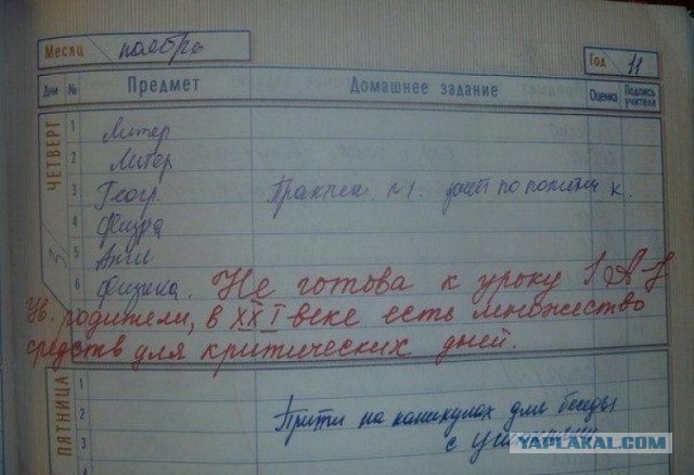 Забавные школьные дневники