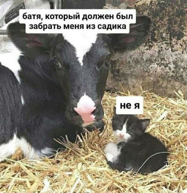 Завалялось тут случайно немного забавных картинок