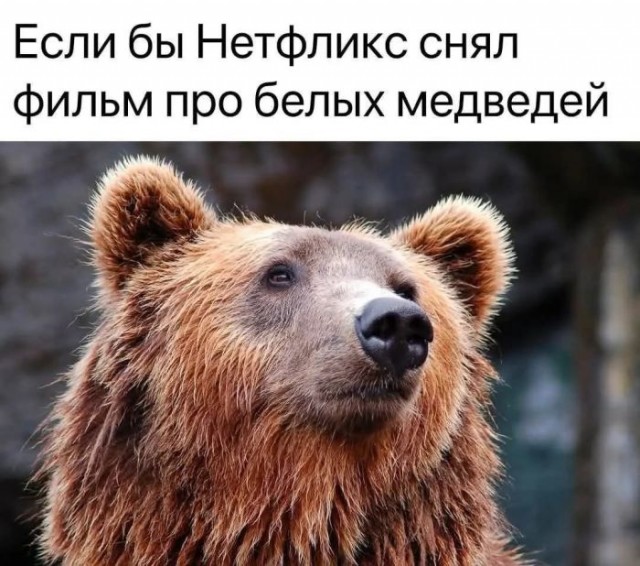 Веселые картинки в понедельник (10.02)