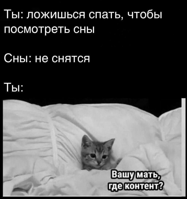 Всего понемногу. От 14.02.2025