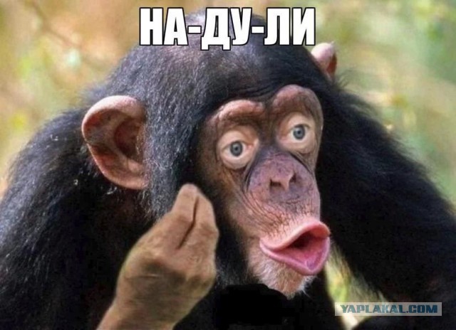 Зеленский — о переговорах США и России