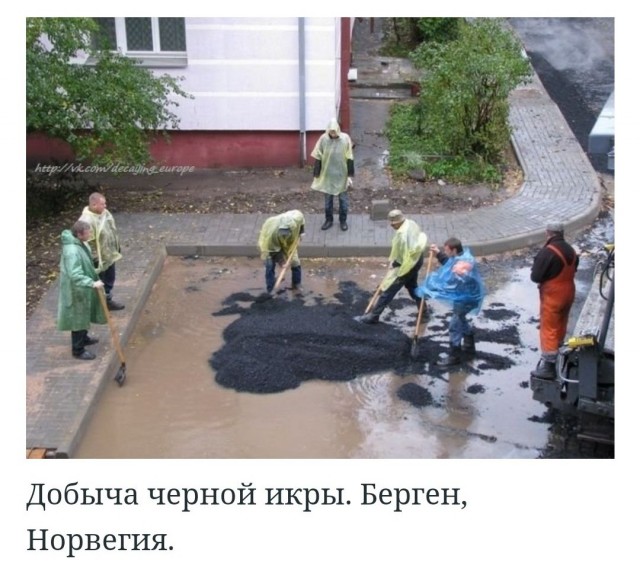 Так себе картинки 24.02.25