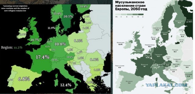 Немного бесполезной инфографики