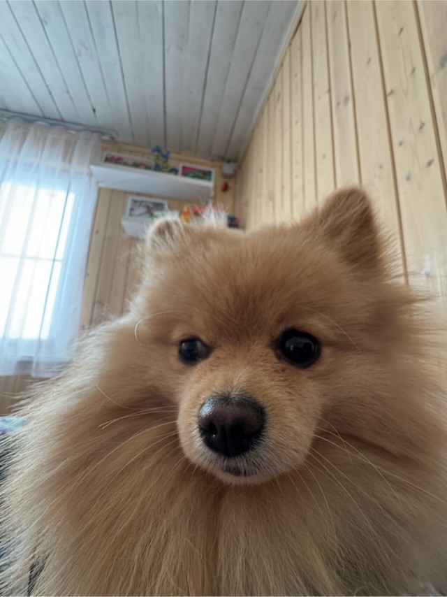 Подрос к четвергу !