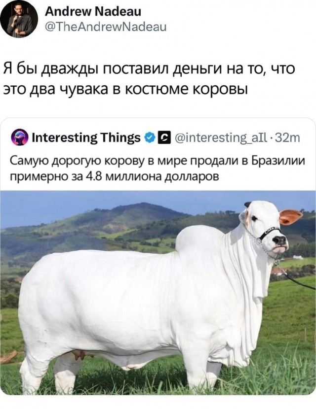 Так себе картинки 28.05.25