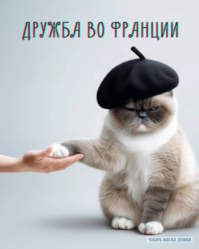 Как завести местных друзей в новой стране?