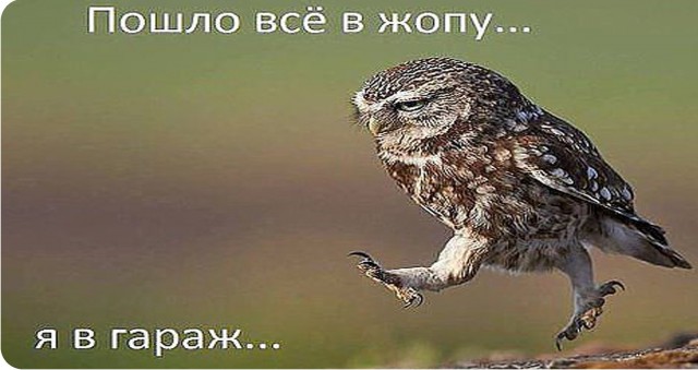 Названы мужские фразы, которые больше всего бесят российских женщин