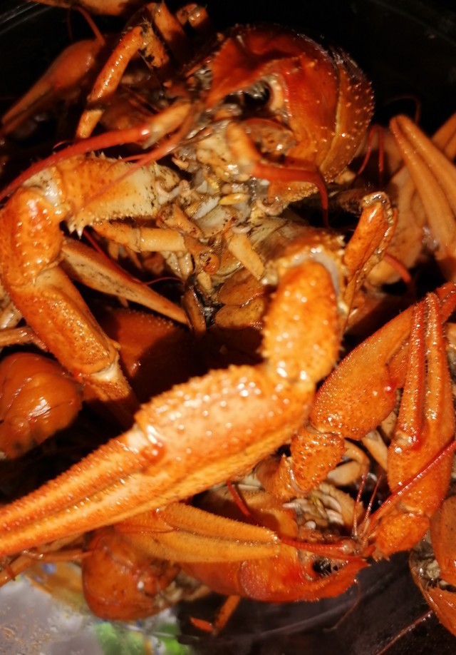 Что такое любовь?