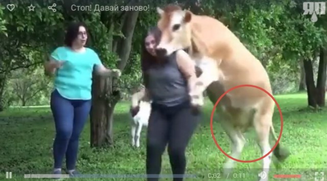 Стоп! Давай заново!