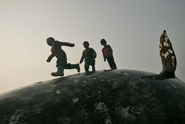 Лето пахнет льдом