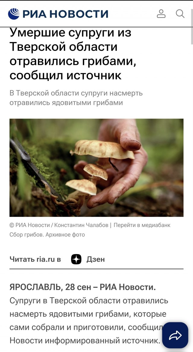 Тихая охота на подберёзовики