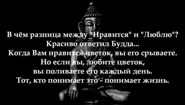 Веселое настроение в картинках 02.11.25