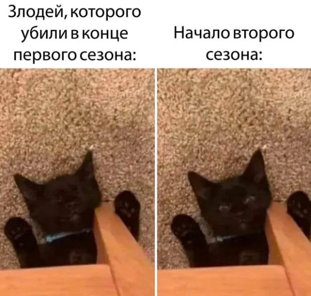 Веселые картинки в понедельник (24.11)