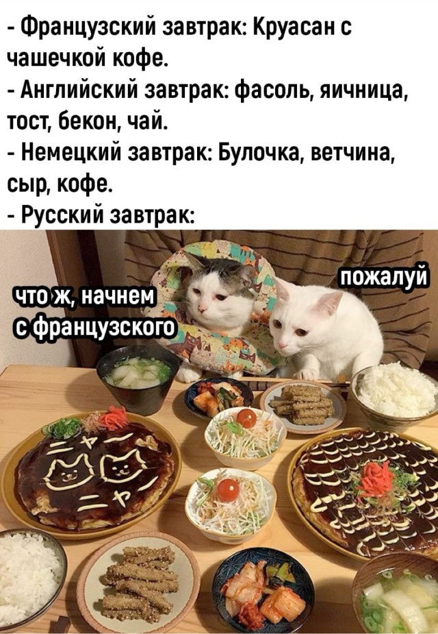 Прикольные и просто красивые картинки 25.11.2025