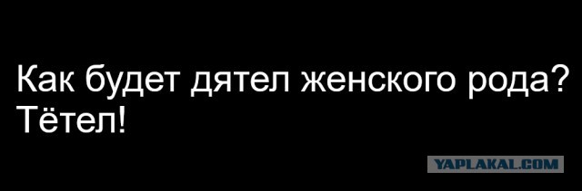 Картиночки, баянчики 24 февраля