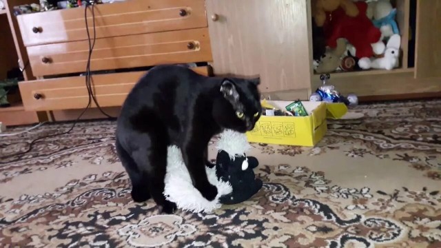 Девушка просит помочь разобраться с игрушкой