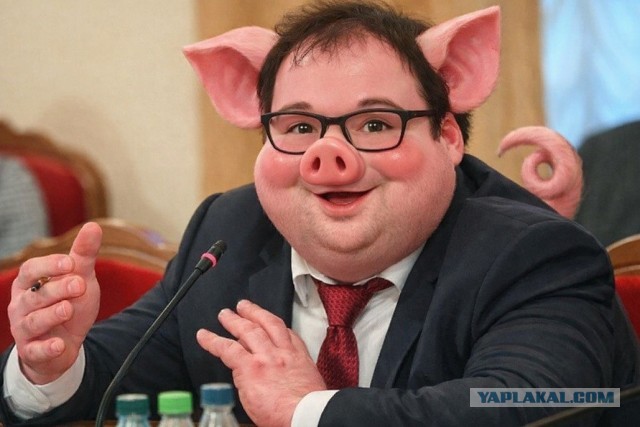 Совещание в Минцифры уже аукается рынку: часть ИТ-проектов приостановлена