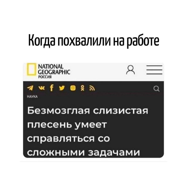 Воскресные картинки