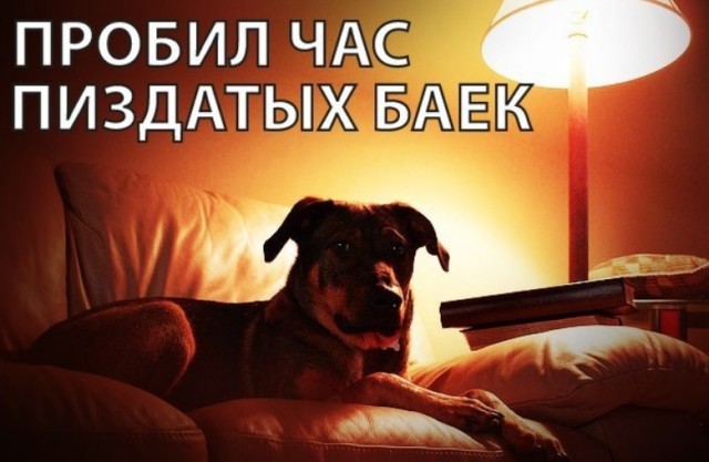 Бредим дальше