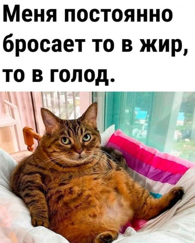 Так себе картинки 17.06.26