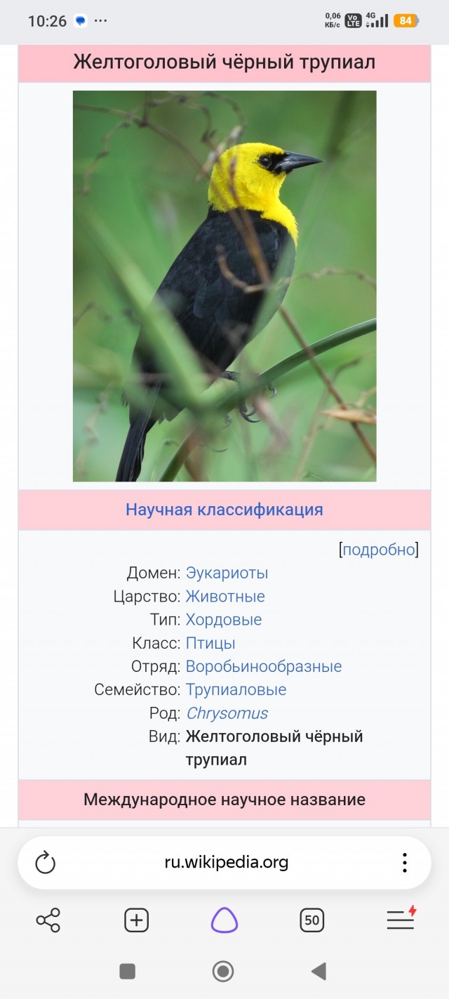 Картиночки, баянчики 19 июля