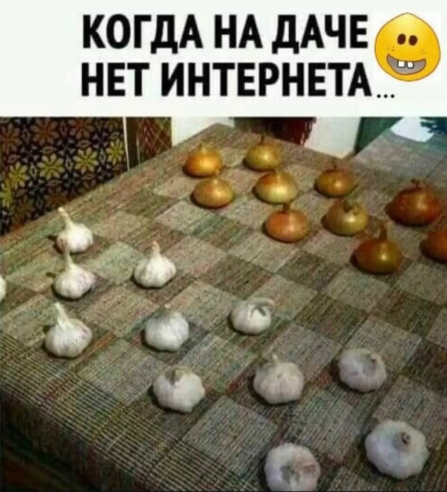Картинки для деградации 250 (разной степени свежести)