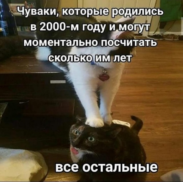 Веселые картинки в понедельник (24.08)