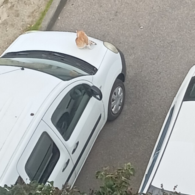 А из нашего окошка осень видна немножко)