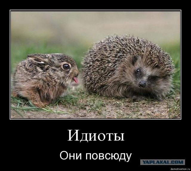 Беспорядки в Варшаве, атаковано посольство России