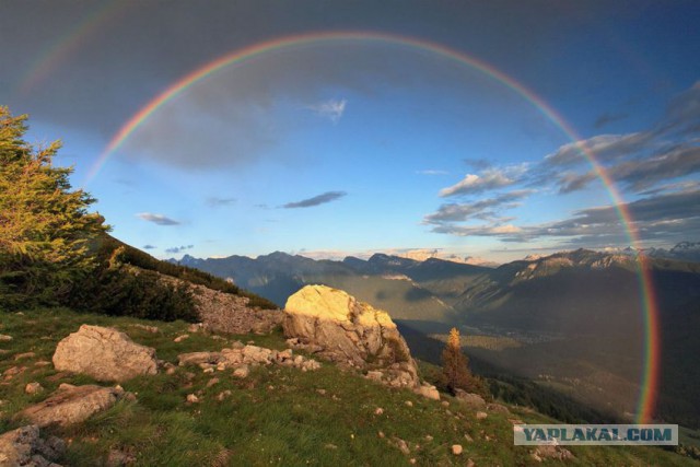 Лучшие фотографии National Geographic 2013.