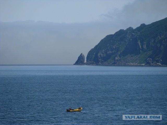 Природа Приморского края