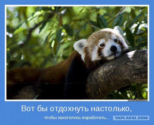 Чёрт, чёрт, чёрт!