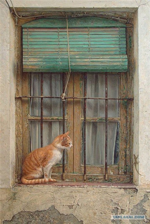 Рисованный котовторник