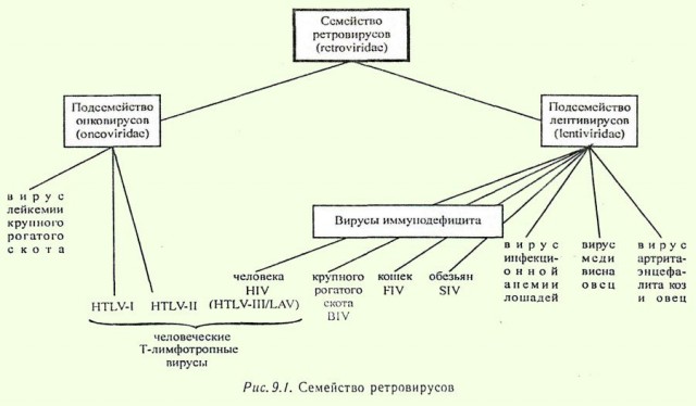 ВИЧ-диссиденты и их дети.