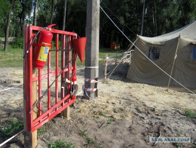 Иностранные фанаты очень удивятся