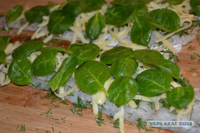 День Судака, или как мы с пельменной иглы слазили