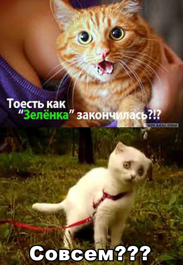 В погоне за ЮКой