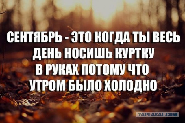 Пост обожания осени