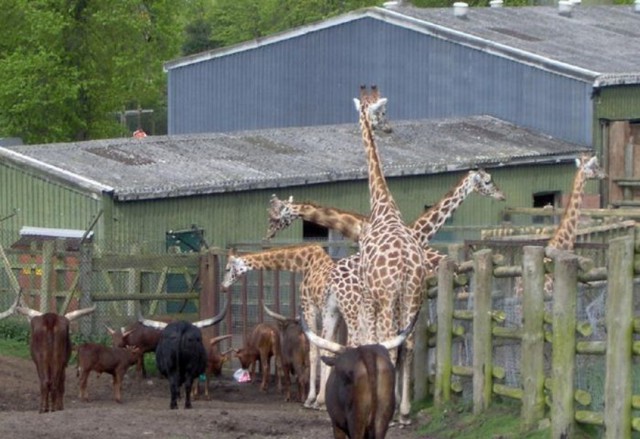 Разные позитивные картинки