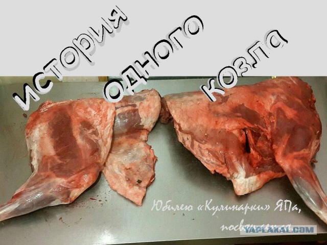 10 лет разделу "Кулинария"